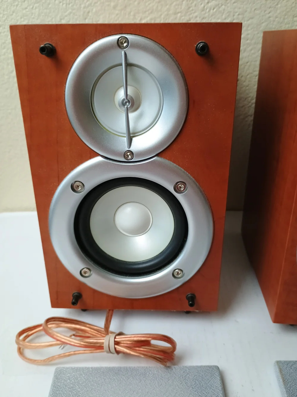 Sony SS-CEX100 Woodengrain Bookshelf Speakers Set Of 2